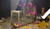 Hintergrund