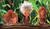 Hintergrund