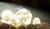 Hintergrund
