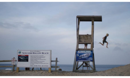 Galerie Foto