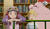 Hintergrund