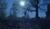 Hintergrund