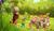 Hintergrund