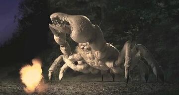 Foto im Vollbild