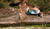 Hintergrund