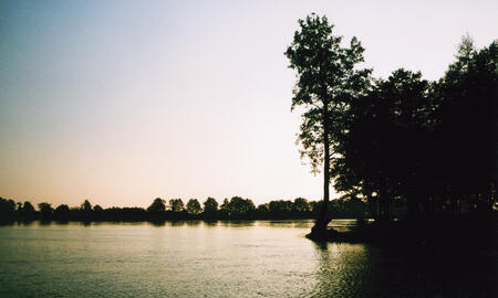 Galerie Foto