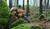 Hintergrund