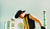 Hintergrund