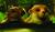 Hintergrund