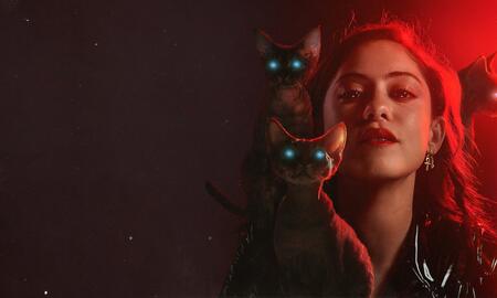 Galerie Foto