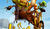 Hintergrund