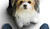 Hintergrund