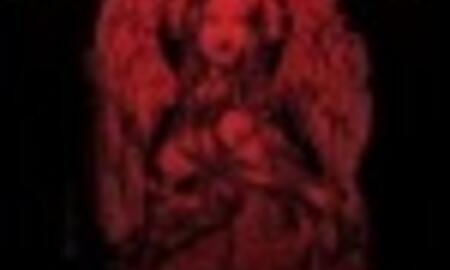 Galerie Foto