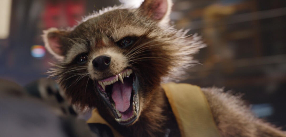 Bradley Cooper als Rocket Racoon.