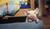 Hintergrund