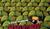Hintergrund
