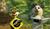 Hintergrund