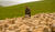 Hintergrund