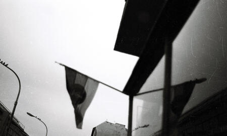 Galerie Foto