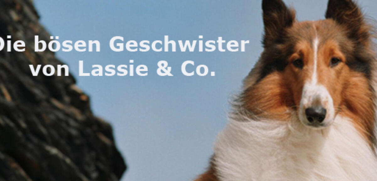 Lassie