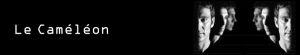 Foto im Vollbild