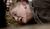 Hintergrund
