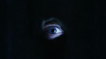 Foto im Vollbild