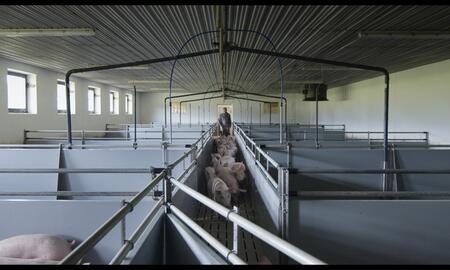 Galerie Foto