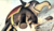Hintergrund