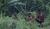 Hintergrund