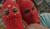 Hintergrund