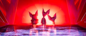 Foto im Vollbild