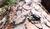 Hintergrund