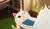 Hintergrund