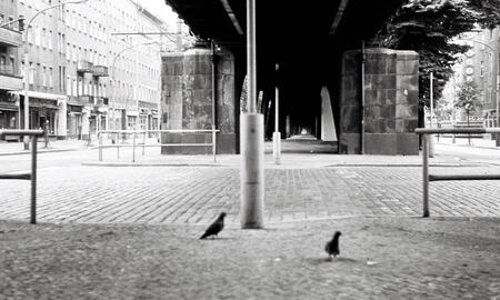 Galerie Foto
