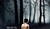 Hintergrund