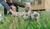 Hintergrund