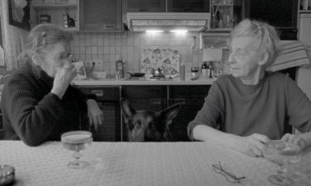 Galerie Foto
