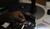 Hintergrund