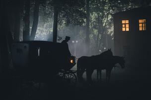 Foto im Vollbild