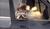 Hintergrund