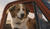 Hintergrund