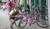 Hintergrund