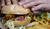 Hintergrund