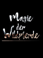 Foto im Vollbild