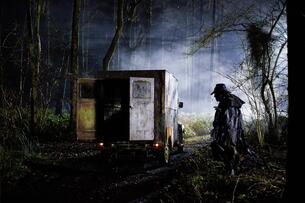 Foto im Vollbild