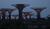 Hintergrund