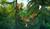 Hintergrund