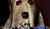 Hintergrund
