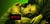 blurry background